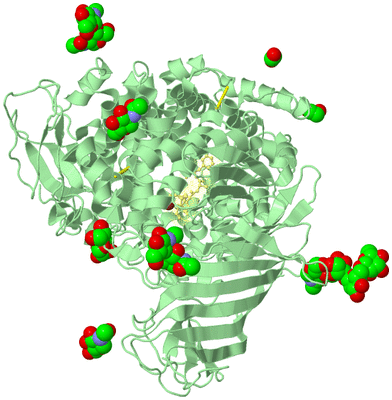 Image Biological Unit 2