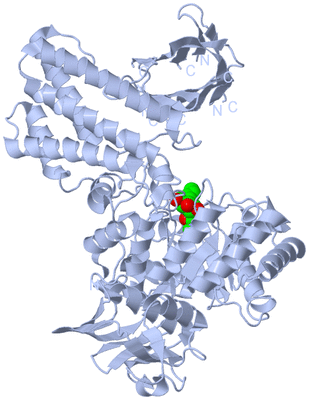 Image Biological Unit 1