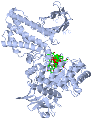 Image Biol. Unit 1 - sites