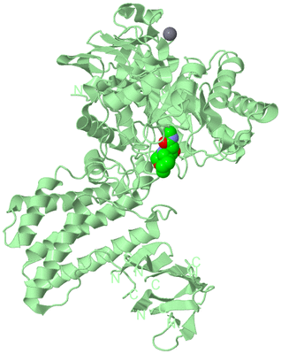 Image Biological Unit 2