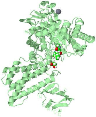 Image Biological Unit 2