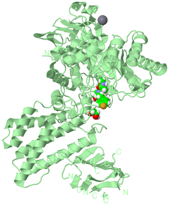 Image Biological Unit 2