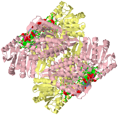 Image Biol. Unit 1 - sites