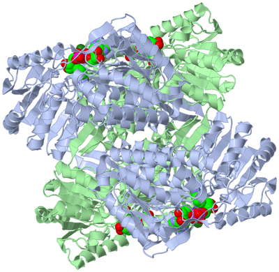 Image Biological Unit 2