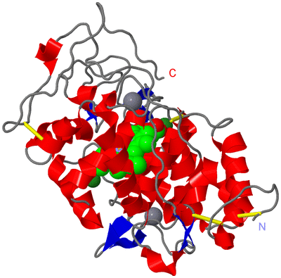 Image Asym./Biol. Unit