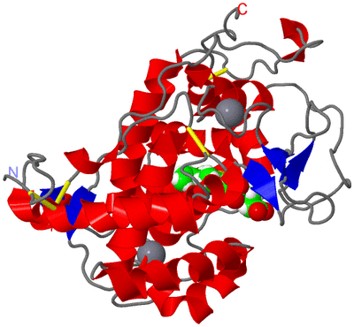 Image Asym./Biol. Unit