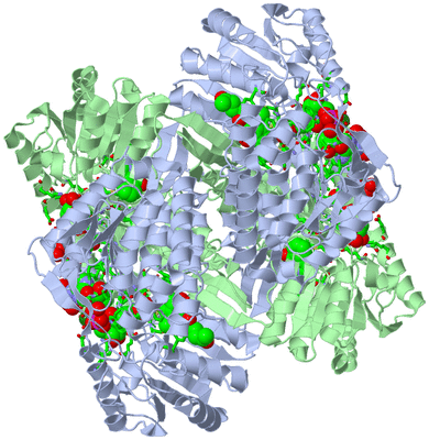 Image Biol. Unit 1 - sites