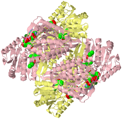 Image Biological Unit 2