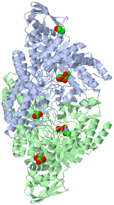 Image Asym./Biol. Unit