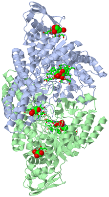 Image Asym./Biol. Unit - sites