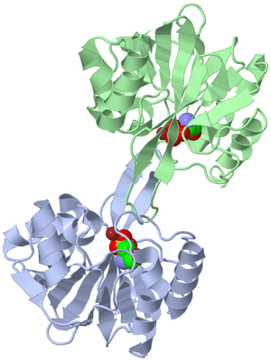 Image Asym./Biol. Unit