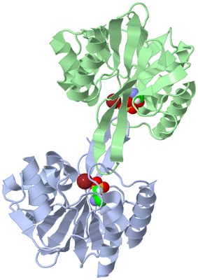 Image Asym./Biol. Unit