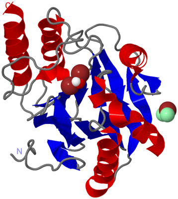 Image Asym./Biol. Unit