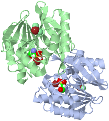 Image Asym./Biol. Unit