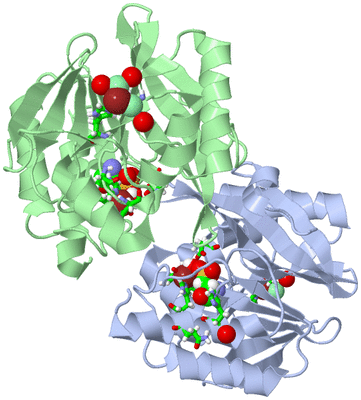 Image Asym./Biol. Unit - sites