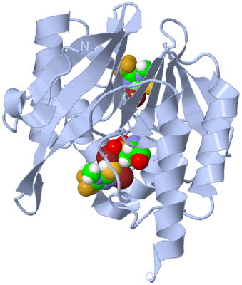 Image Biological Unit 1