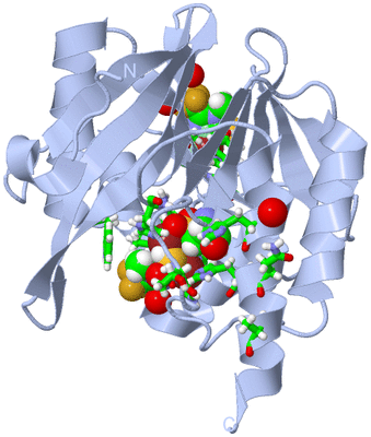 Image Biol. Unit 1 - sites