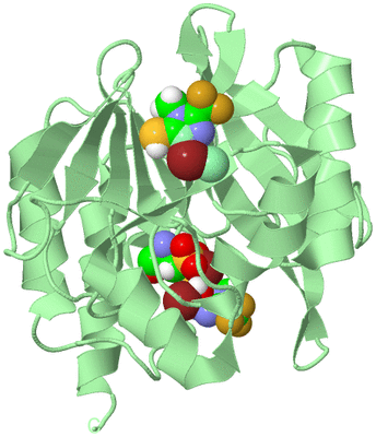 Image Biological Unit 2