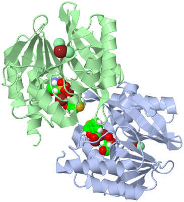 Image Asym./Biol. Unit