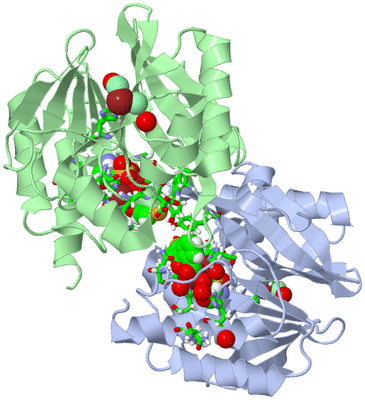 Image Asym./Biol. Unit - sites