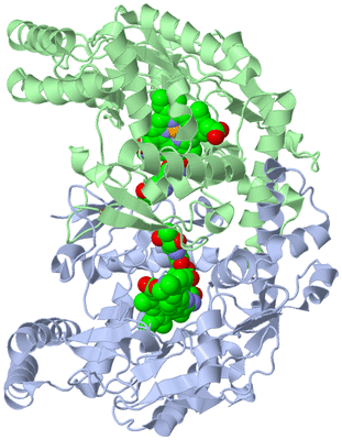 Image Asym./Biol. Unit