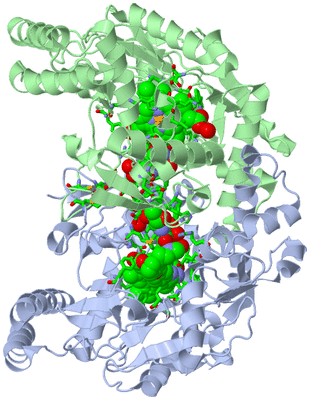 Image Asym./Biol. Unit - sites