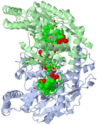 Image Asym./Biol. Unit - sites