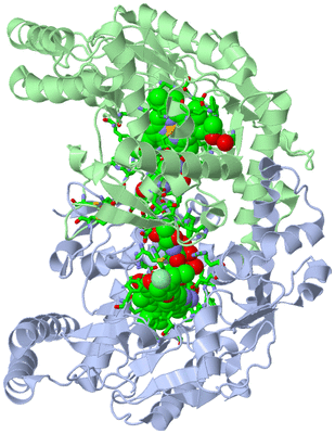 Image Asym./Biol. Unit - sites