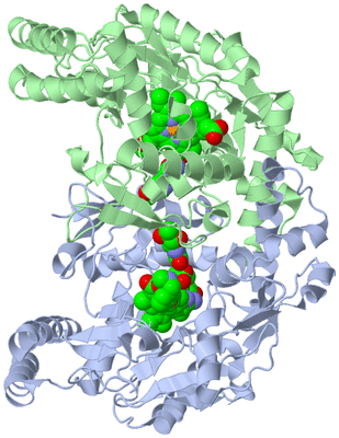 Image Asym./Biol. Unit