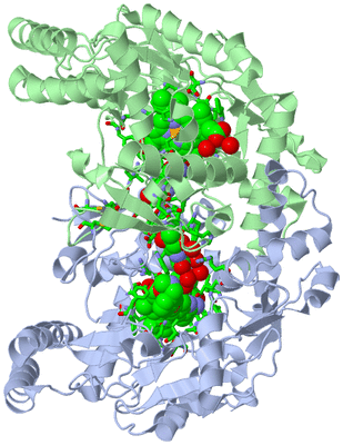 Image Asym./Biol. Unit - sites