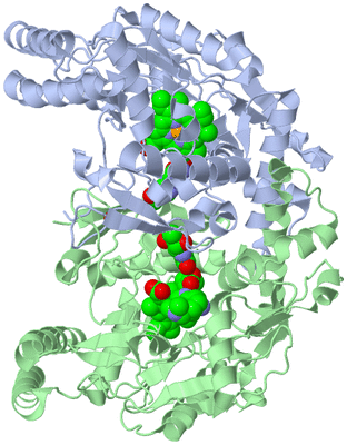 Image Asym./Biol. Unit