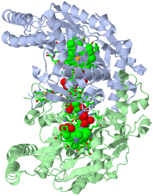 Image Asym./Biol. Unit - sites