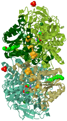 Image Biological Unit 1