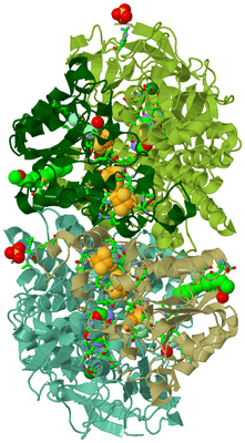 Image Biol. Unit 1 - sites