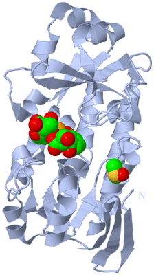 Image Biological Unit 1