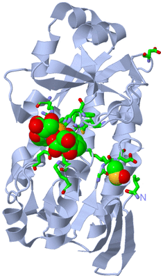 Image Biol. Unit 1 - sites