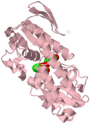 Image Biological Unit 2