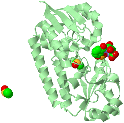 Image Biological Unit 3