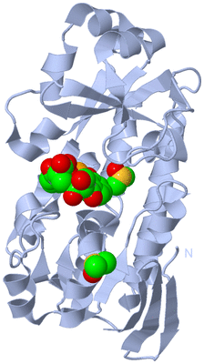 Image Biological Unit 1