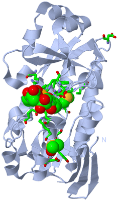 Image Biol. Unit 1 - sites