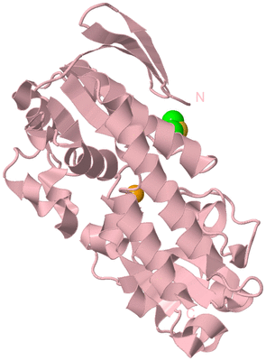 Image Biological Unit 2