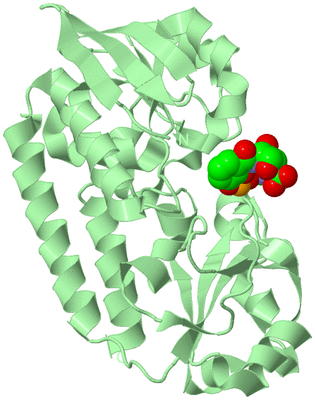 Image Biological Unit 3