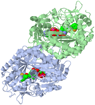 Image Biological Unit 1