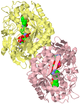 Image Biological Unit 2