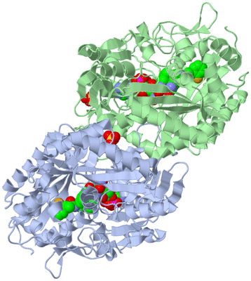 Image Biological Unit 1