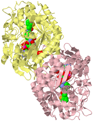 Image Biological Unit 2