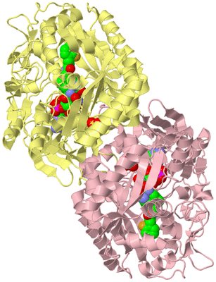 Image Biological Unit 2