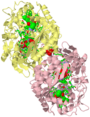 Image Biol. Unit 1 - sites