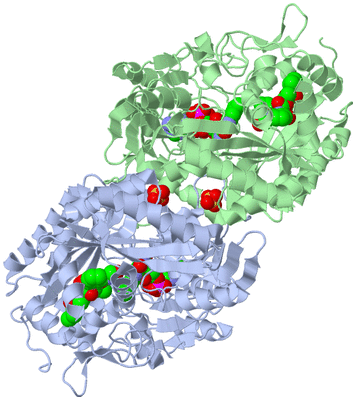 Image Biological Unit 2