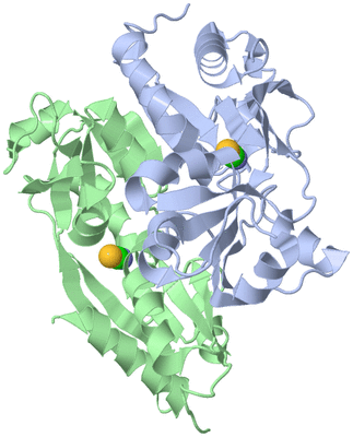 Image Asym./Biol. Unit